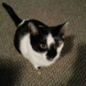 Meet your Posher, Khristine